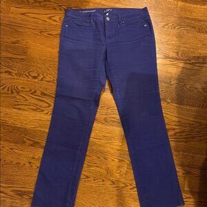 LOFT Women's Deep Purple Skinny Jeans